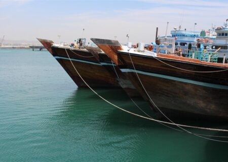 مدیرکل شیلات هرمزگان تاکید کرد
                                ۷۰۰۰ مجوز شناور صیادی در دولت سیزدهم صادر شد