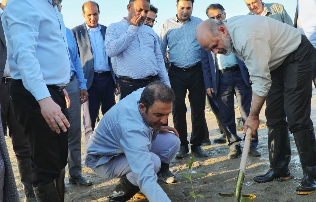 آئین کاشت ۲۰۰ هکتار جنگل در هرمزگان برگزار شد