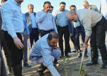 آئین کاشت ۲۰۰ هکتار جنگل در هرمزگان برگزار شد