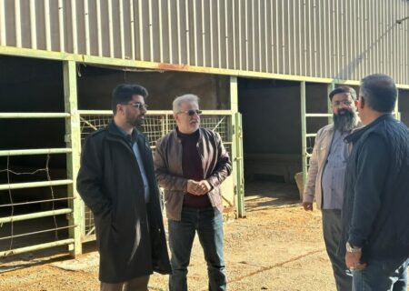 رئیس خانه صنعتکاران ایران خبرداد:
                                تلاش برای احیاء اولین مرکز عرضه گوشت مکانیزه در خاورمیانه پس از ۱۷ سال