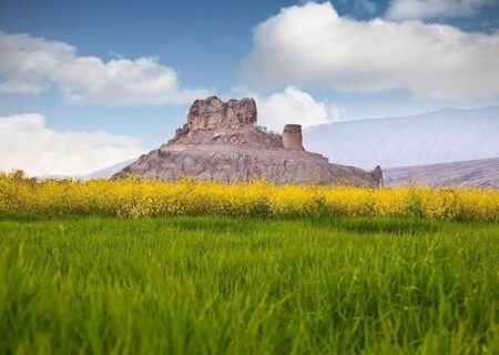 شهردار و رئیس شورای شهر فین خواستار شد:
                                یگانه باغ شهر هرمزگان را دریابید