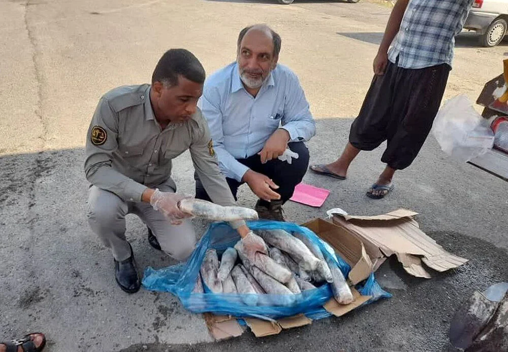مدیرکل حفاظت محیط زیست هرمزگان:
                                محموله مشکوک کشف شده در هرمزگان «زبان گاو» بود/ محموله امها شد