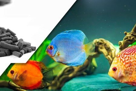 یک مسئول خبر داد
                                آغاز تحقیقات روی ترکیبات زیست‌فعال با کاربردی‌سازی دارویی و صنعتی