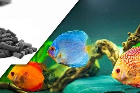 یک مسئول خبر داد
                                آغاز تحقیقات روی ترکیبات زیست‌فعال با کاربردی‌سازی دارویی و صنعتی