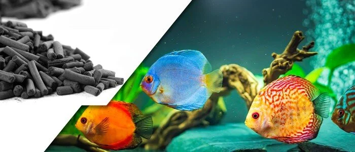 یک مسئول خبر داد
آغاز تحقیقات روی ترکیبات زیستفعال با کاربردیسازی دارویی و صنعتی