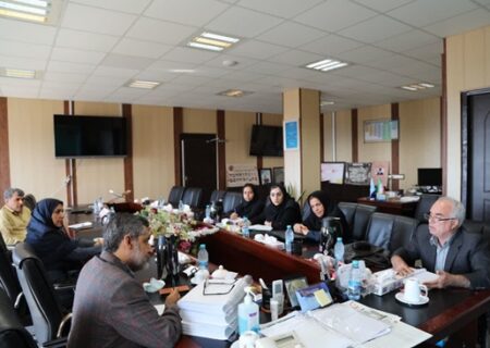 دبیرخانه سلامت و امنیت غذایی استان هرمزگان ارزیابی شد