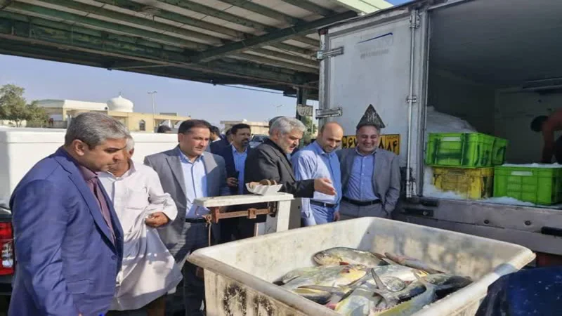 پویایی بندر صیادی کنگ بیانگر اهمیت صید وصیادی است // به زودی عملیات ساخت بازوی غربی به اتمام میرسد