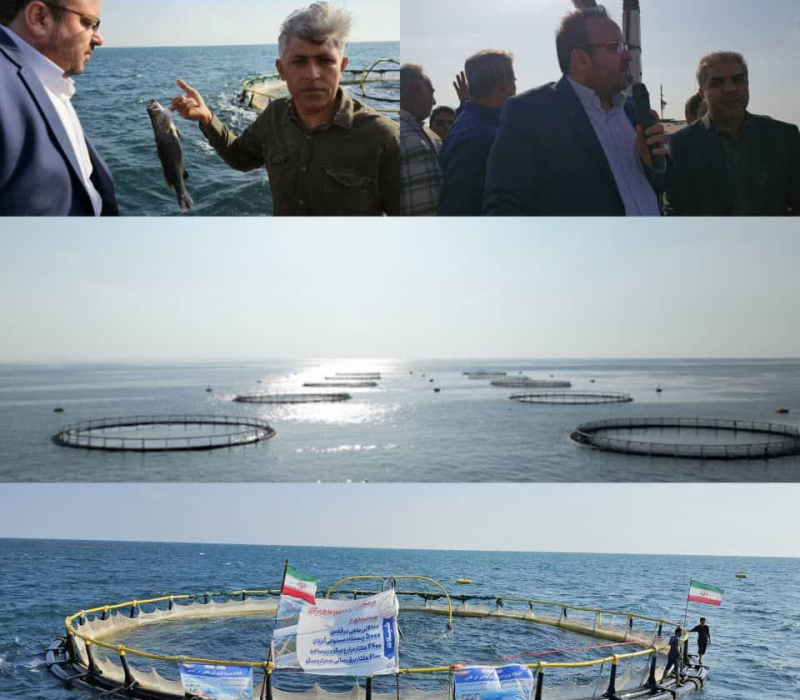 افتتاح مزرعه پرورش ماهی در قفس ۵۰۰ تنی قشم به نمایندگی ۷۶ پروژه شیلاتی هرمزگان