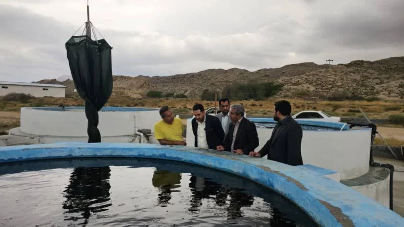 بازدید مدیر کل شیلات هرمزگان از مرکز تکثیر ماهی دریایی شرکت نقره ای کیش-پارسیان