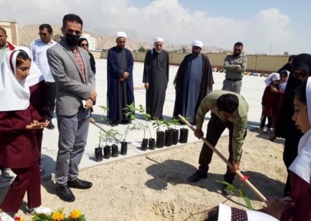 انجام مراسم در ختکاری به همت خانه محیط زیست اداره محیط زیست شهر ستان خمیر