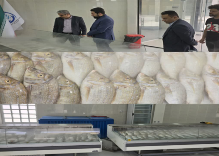 عرضه مستقیم ماهی در راستای تنظیم بازار در غرفه اتحادیه تعاونی های صیادی هرمزگان