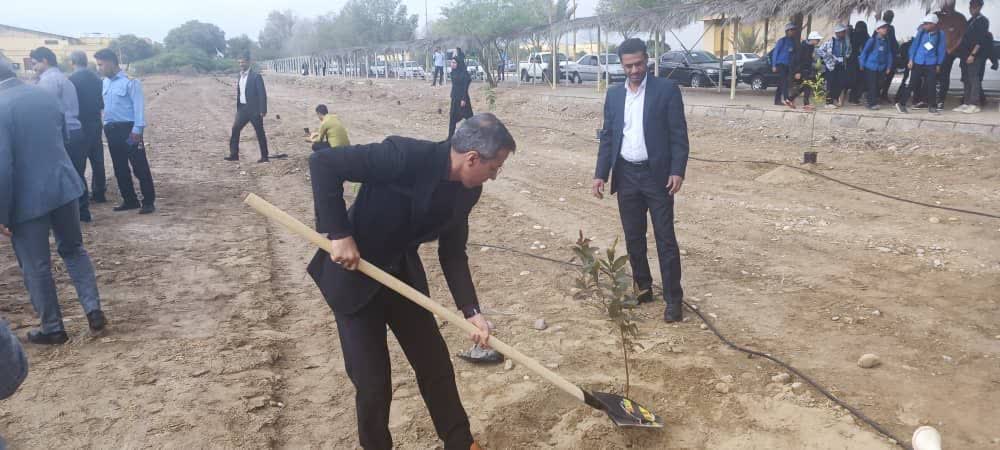 مراسم روز درختکاری و گرامیداشت هفته منابع طبیعی در روز ۱۵ اسفند ۱۴۰۲ دردانشگاه هرمزگان با حضور رئیس سازمان جهاد کشاورزی به همراه استاندار استان و تنی چند از مسئولان استانی و مشابه این مراسم در سایت هیمکو با حضور همکاران جهاد کشاورزی برگزار شد.