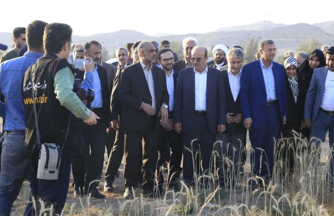 نخستین برداشت گندم کشور عصر چهارشنبه به صورت نمادین در روستای لاور فین هرمزگان با حضور وزیر جهادکشاورزی آغاز شد.