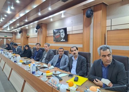 تلاش برای افزایش ظرفیت ترانزیت در کریدور شمال _جنوب ادامه دارد