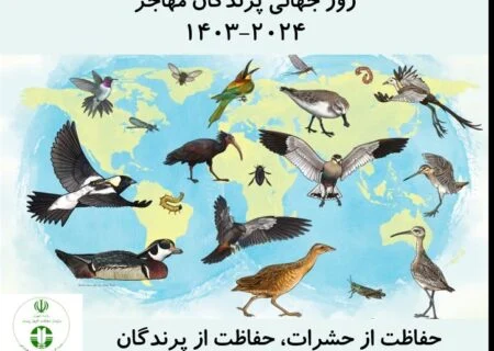 روز جهانی پرندگان مهاجر در سال ۲۰۲۴