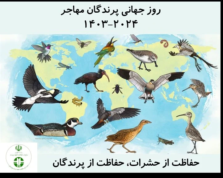 روز جهانی پرندگان مهاجر در سال ۲۰۲۴