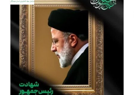 عباس مویدی رئیس سازمان جهاد کشاورزی استان هرمزگان تسلیت خود را در پی شهادت رئیس جمهوردولت مردمی و تیم همراه در سانحه‌ی بالگرد حین ماموریت در قالب پیام به ملت شریف ایران اعلام کرد.