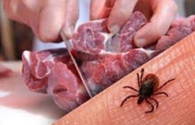 گوشت را ۲۴ ساعت پیش از مصرف در دمای یخچال نگهداری کنید