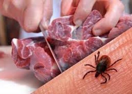 گوشت را ۲۴ ساعت پیش از مصرف در دمای یخچال نگهداری کنید