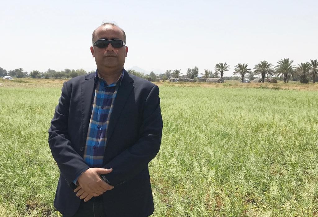 معاون بهبود تولیدات گیاهی سازمان جهاد کشاورزی استان هرمزگان از اجرا و معرفی ارقام جدید گندم در هرمزگان خبر داد.