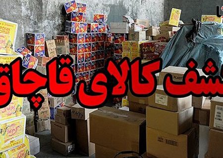 تعزیر قاچاقچی کالا در میناب