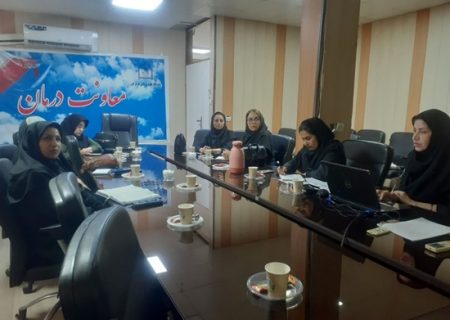 تشکیل اولین کارگروه آموزش و فرهنگ سازی کمیته دانشگاهی ترویج زایمان طبیعی