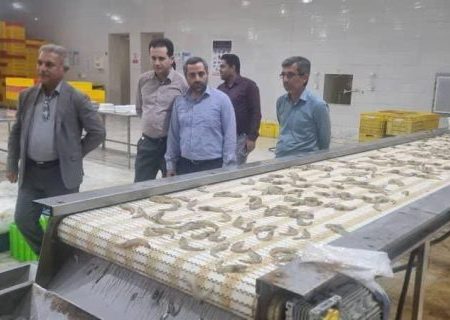 بازدید معاون توسعه و مدیریت منابع سازمان صنایع کوچک و شهرک‌های صنعتی ایران از زنجیره ارزش میگو
