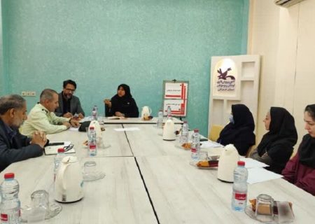دومین نشست کمیته کودک و نوجوان دهه فجر استان هرمزگان برگزار شد