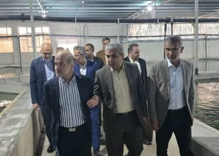 بازدید از مزرعه ۵۰ تنی ماهیان خاویاری در اسلام آباد رودان   