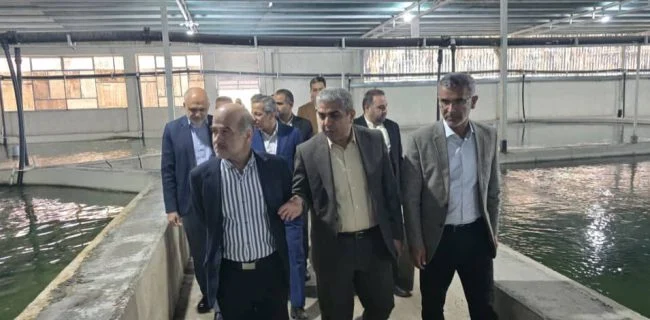 بازدید از مزرعه ۵۰ تنی ماهیان خاویاری در اسلام آباد رودان