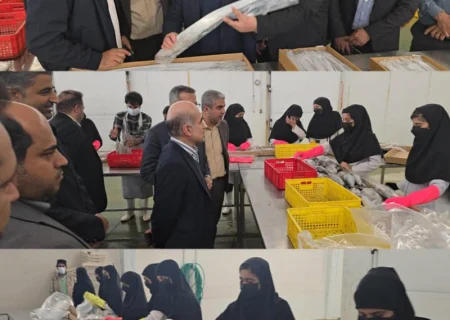 بازدید از واحد عمل آوری و بسته بندی آبزیان پیمان در شهر سیریک