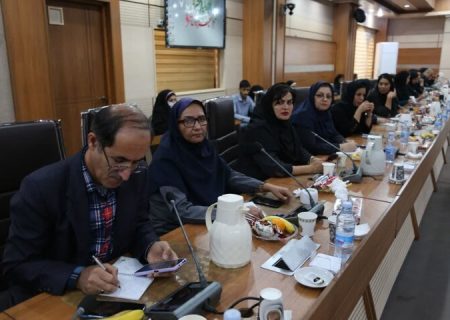 ۹۹۰ پروژه به ارزش ۶۱ همت در هرمزگان بهره‌برداری یا آغاز می‌شود