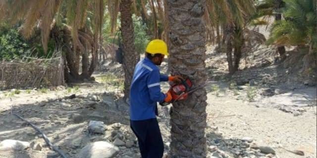 اصلاح و بهینه‌سازی شبکه فشار ضعیف در نقاط مختلف شهرستان بشاگرد به همت گروه های عملیاتی مدیریت برق شهرستان بشاگرد