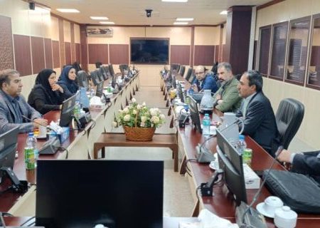 برگزاری جلسه مرکز خدمات سرمایه‌گذاری هرمزگان با سرمایه‌گذار چینی