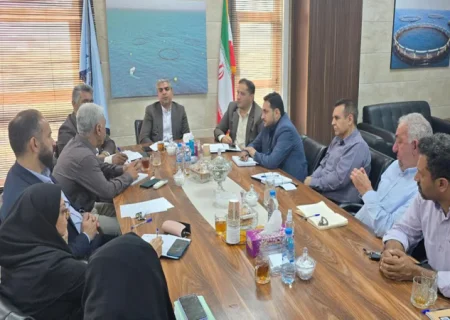 برگزاری نخستین جلسه شورای معاونین شیلات هرمزگان در سال ۱۴۰۴