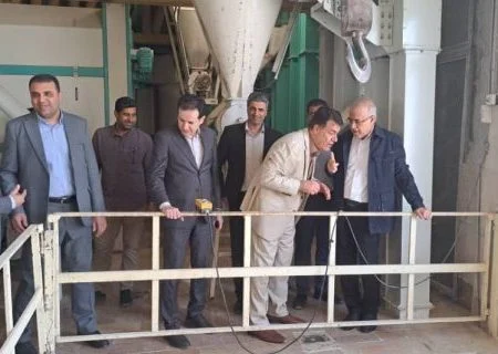 توسعه صنعتی بدون رشد همزمان آموزش و زیست‌بوم‌ها پایدار نخواهد بود