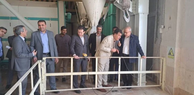 توسعه صنعتی بدون رشد همزمان آموزش و زیستبومها پایدار نخواهد بود