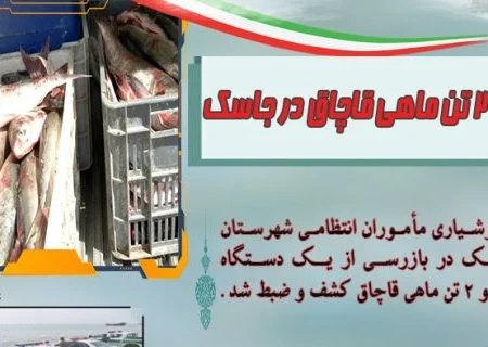 توقیف ۲ تُن ماهی قاچاق در جاسک
