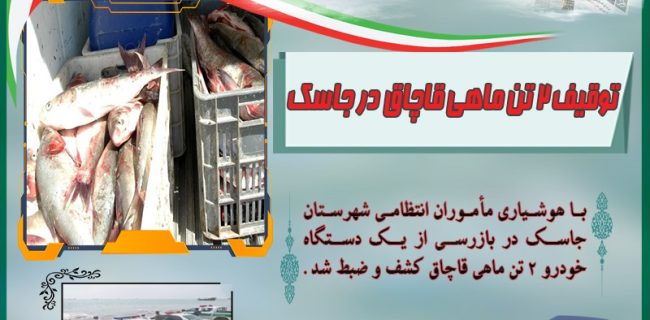 توقیف ۲ تُن ماهی قاچاق در جاسک