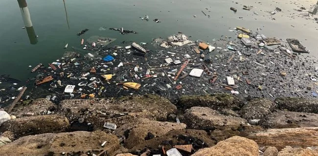 جمعآوری ۱۲ تن زباله طی یک مانور پاکسازی در بندر شهید باهنر