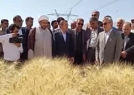حضور معاون‌ وزیر جهاد کشاورزی در آیین آغاز عملیات برداشت گندم در استان هرمزگان