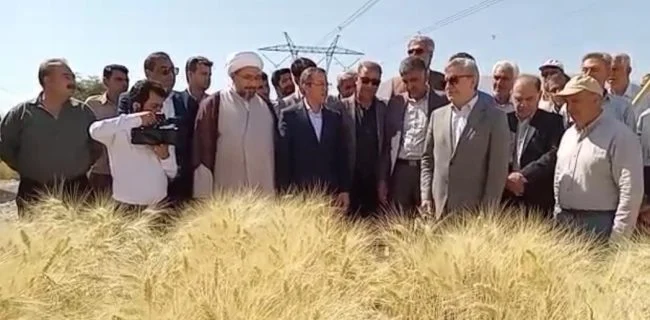 حضور معاون‌ وزیر جهاد کشاورزی در آیین آغاز عملیات برداشت گندم در استان هرمزگان