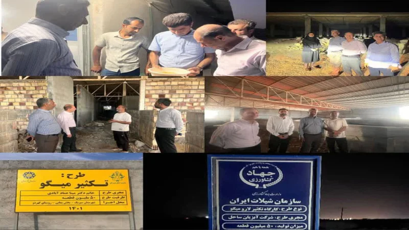 ظرفیت های آبزی پروری قشم، سیریک و بندر لنگه کم نظیر است// هرمزگان در مسیر توسعه پایدار آبزی پروری دریایی