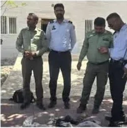 کشف و ضبط سنگ‌های رنگی و زینتی برداشت‌شده از جزیره هرمز
