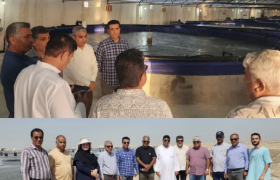 بازدید مدیرکل شیلات هرمزگان و هیئت همراه از نرسری ماهیان دریایی ومیگو، مزارع پرورش میگوی لاینر وبتن شده،کارخانه تولید خوراک آبزیان وکارخانه تولید دستگاه‌های مکانیزه پرورش میگوی شهرستان بوشهر