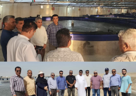 بازدید مدیرکل شیلات هرمزگان و هیئت همراه از نرسری ماهیان دریایی ومیگو، مزارع پرورش میگوی لاینر وبتن شده،کارخانه تولید خوراک آبزیان وکارخانه تولید دستگاه‌های مکانیزه پرورش میگوی شهرستان بوشهر