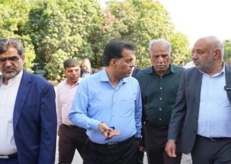 بازدید وزیر تعاون، کار و رفاه اجتماعی از واحد تولیدی گلخانه نوین کشت شهرستان رودان