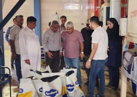 تبادل تجربیات شیلاتی میان هرمزگان و بوشهر؛ تمرکز بر نرسری و مکانیزاسیون مزارع میگو