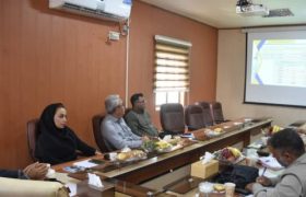تنظیم پیش نویس تفاهم نامه نیرو در خدمت نور با مشارکت نیروهای مسلح و برق هرمزگان