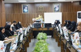کارگاه آموزشی «معنا و راهکار خانواده موفق» در دانشگاه علوم پزشکی هرمزگان برگزار شد